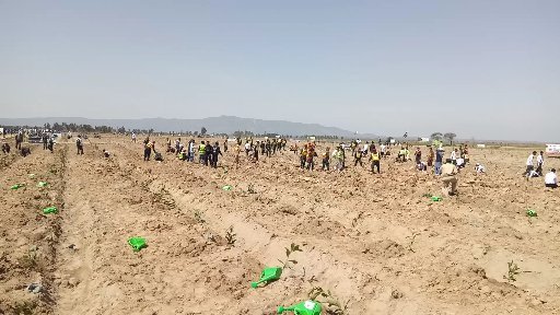 Green Future